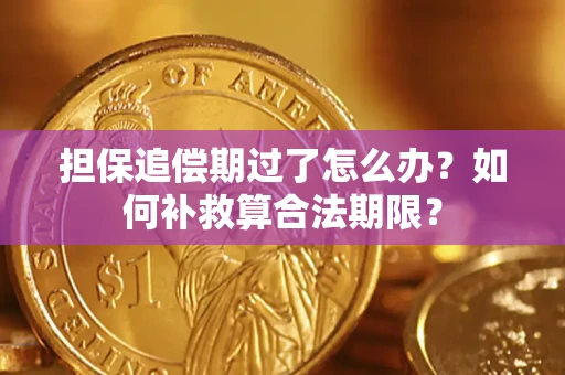 济南担保追偿期过了怎么办？如何补救算合法期限？