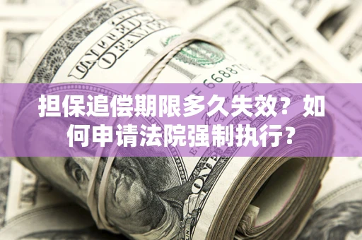 济南担保追偿期限多久失效？如何申请法院强制执行？
