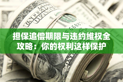 济南担保追偿期限与违约维权全攻略：你的权利这样保护